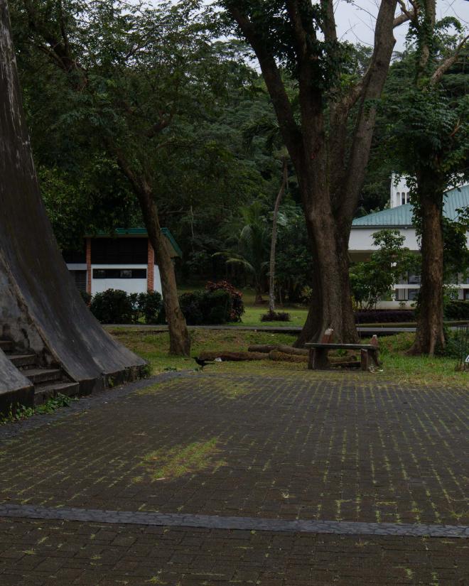 Carillon Grounds