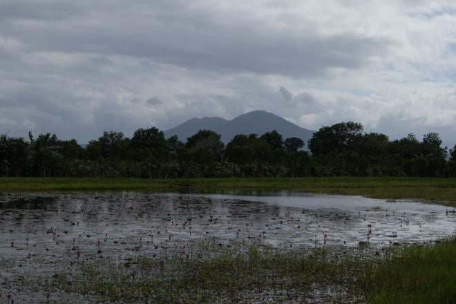 Mt. Banahaw and pond