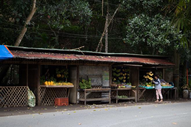 A women on a long fruit stand