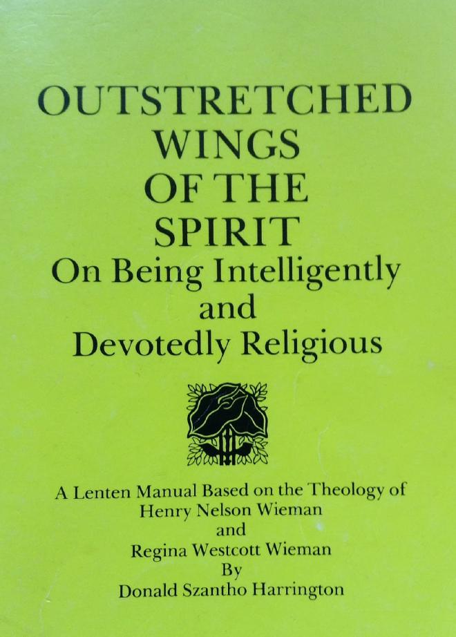 Cover of the book Outstretched Wings of the Spirit