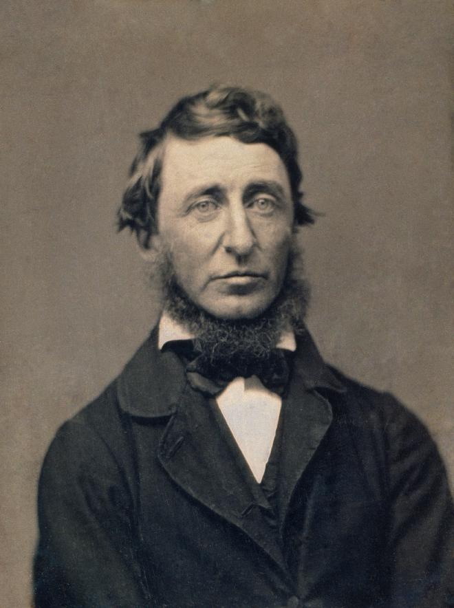 A portrait of Thoreau