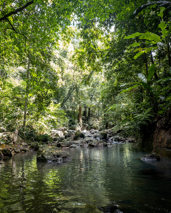 Molawin Creek at the Botanical Garden