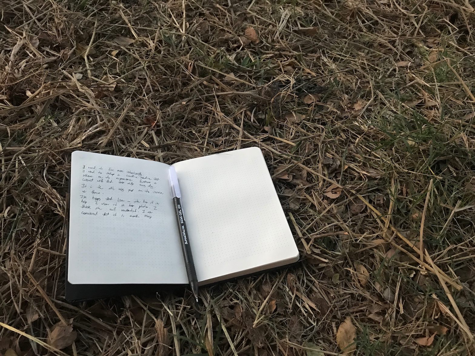 Field notes over dried leaves and straw