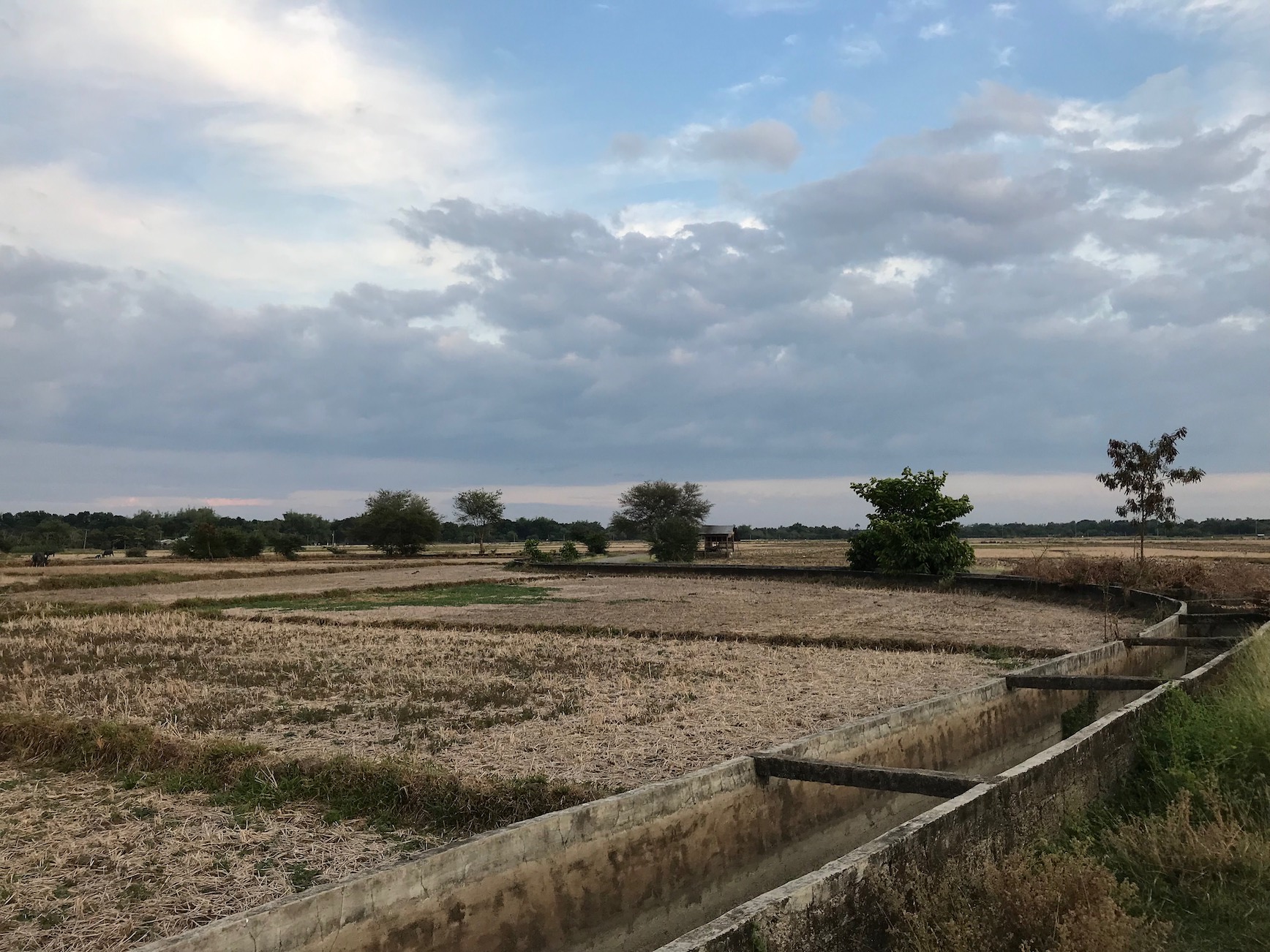A stretch of farm irrigation at San Jacinto