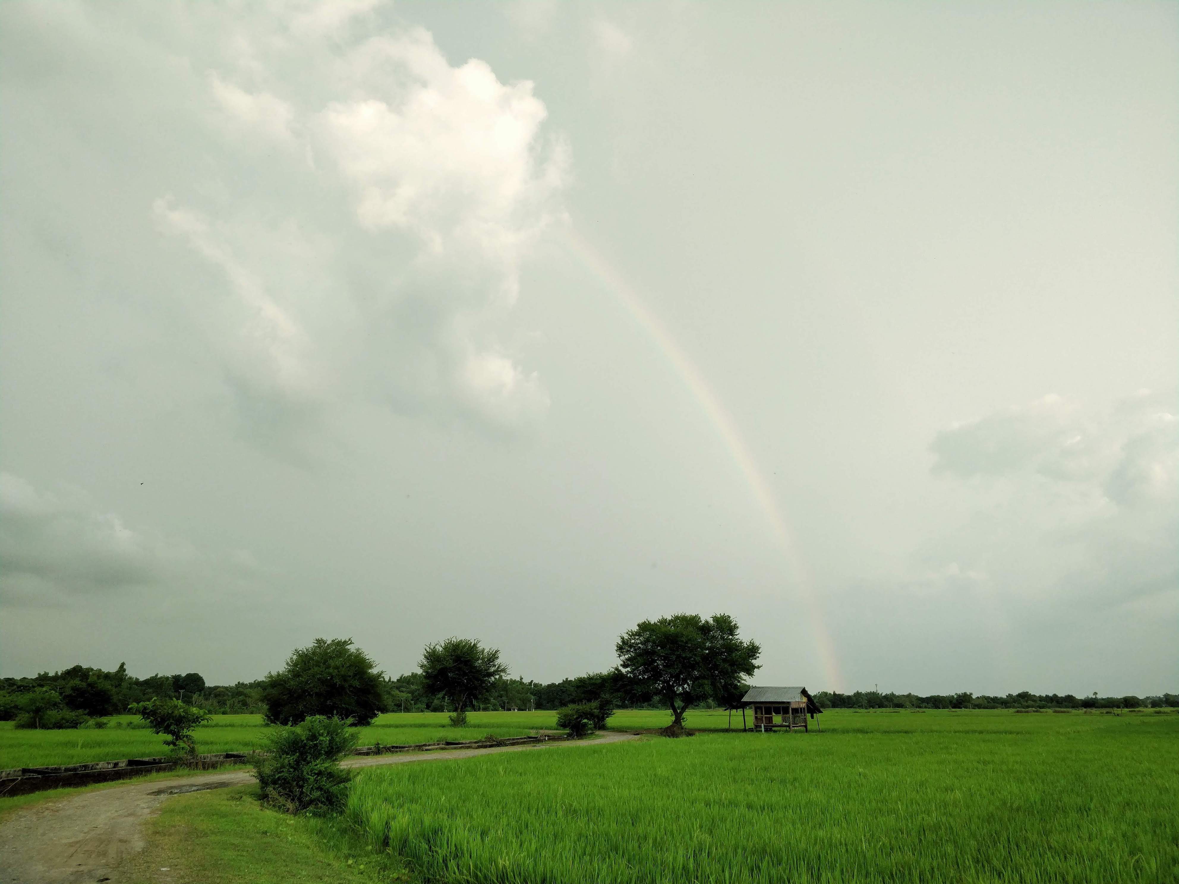 Rainbow above fields