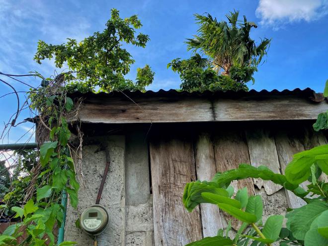 Electric meter and roof