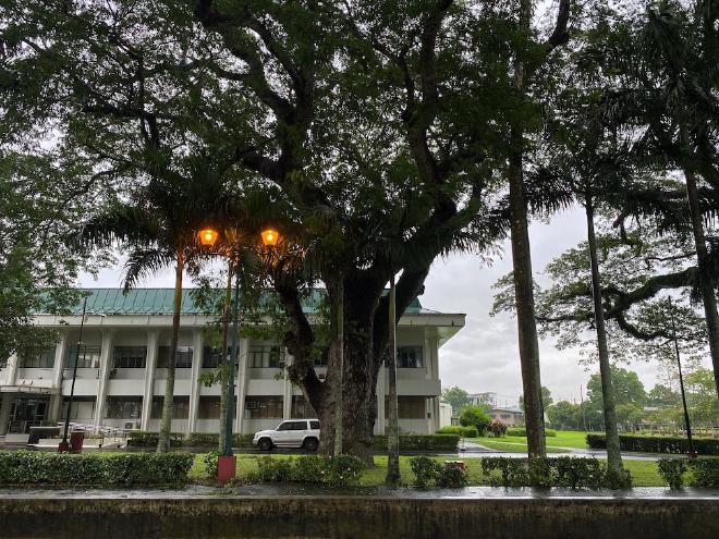 Eyes at Carabao Park