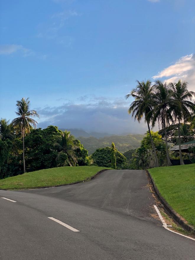 A view of Mt. Makiling from Doña Aurora Street