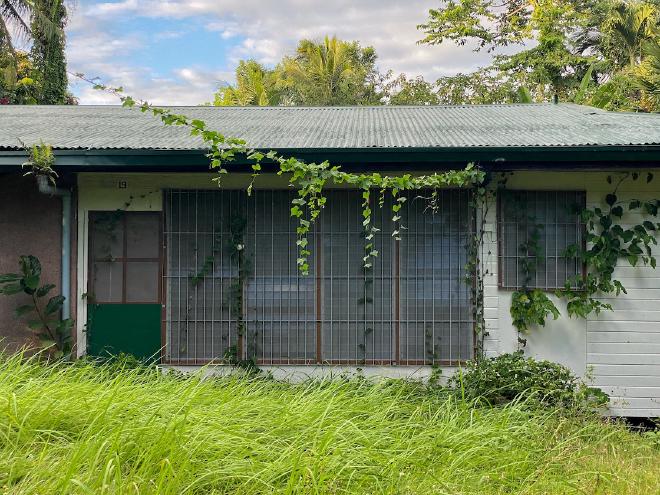 Vince on an abandoned house