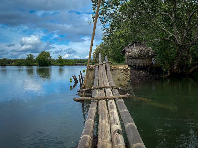 A bamboo bridge