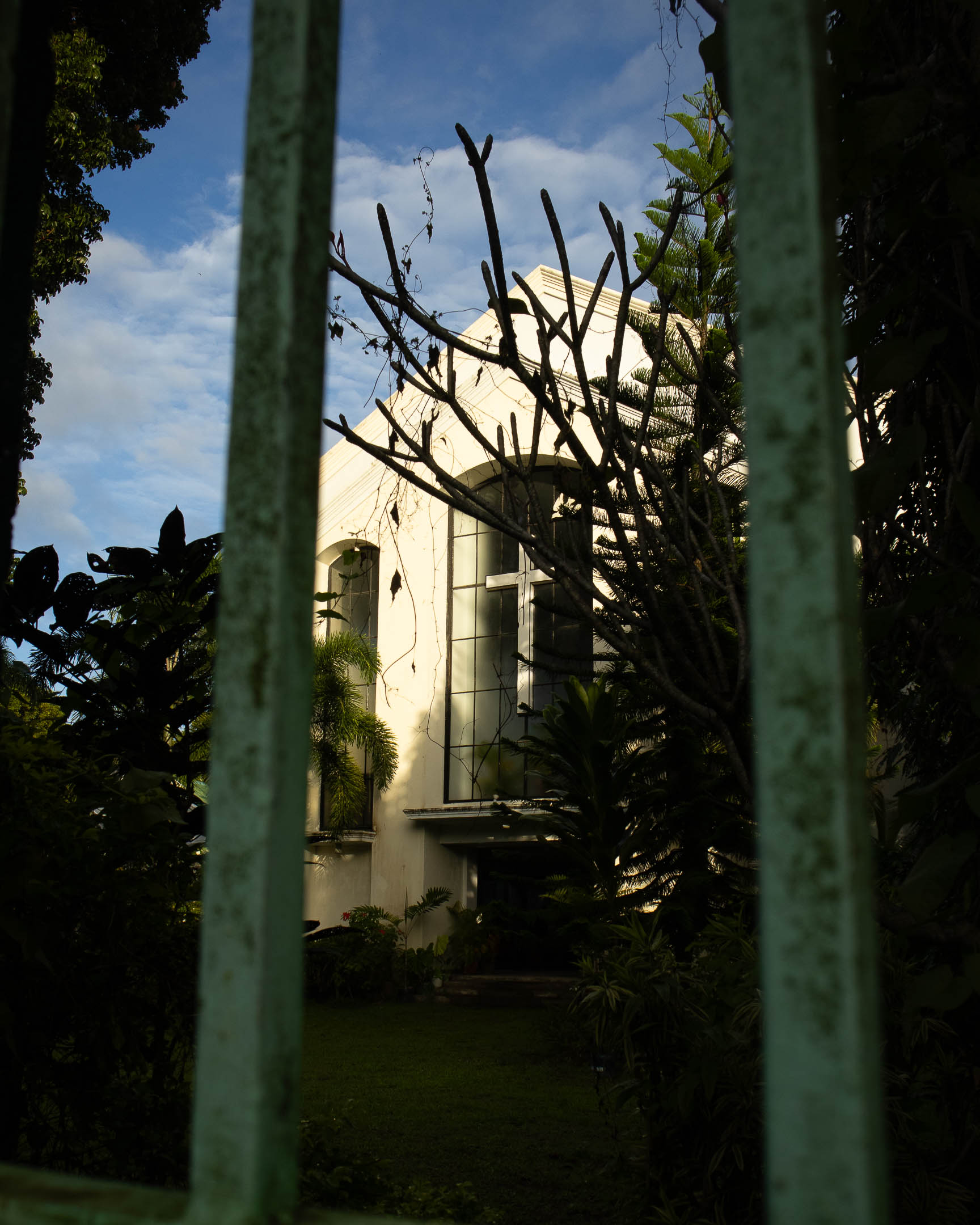 Church among the palms