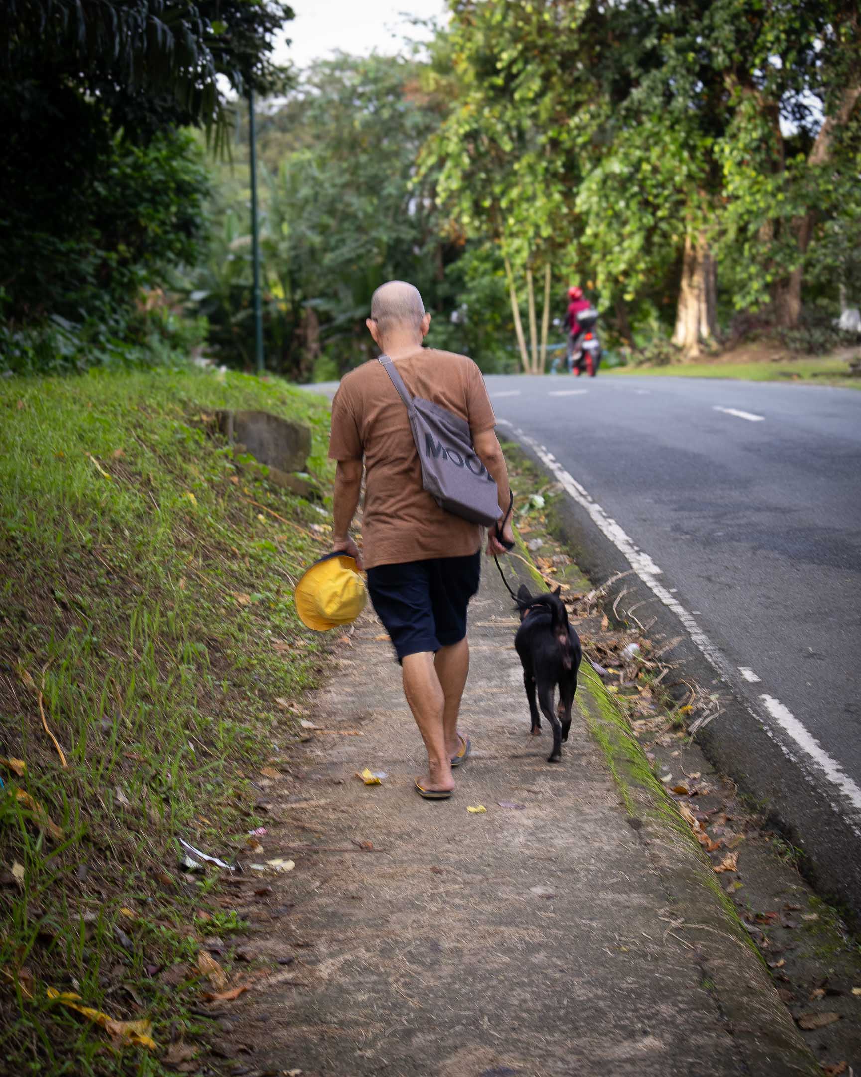 Man and dog walking