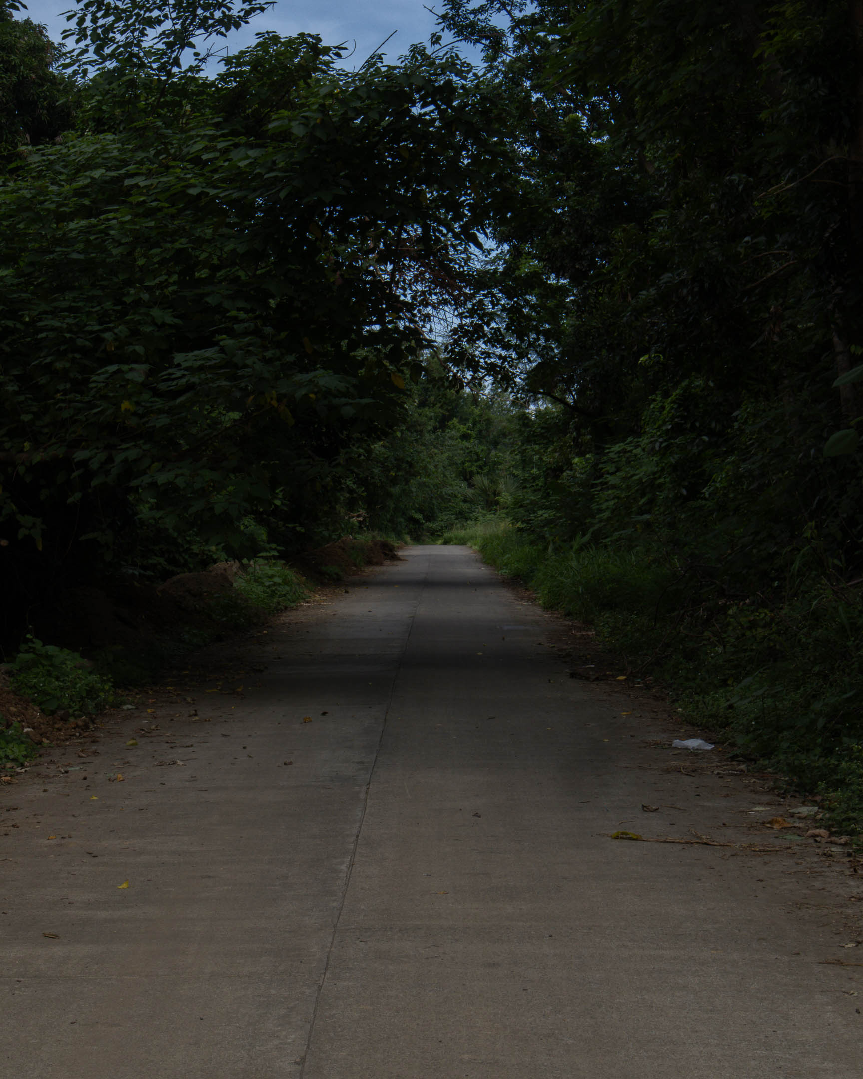 The Road