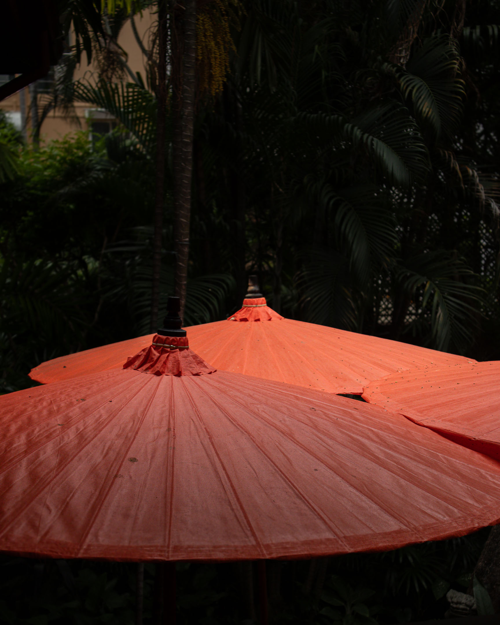 Red umbrellas at Jim Thompson museum