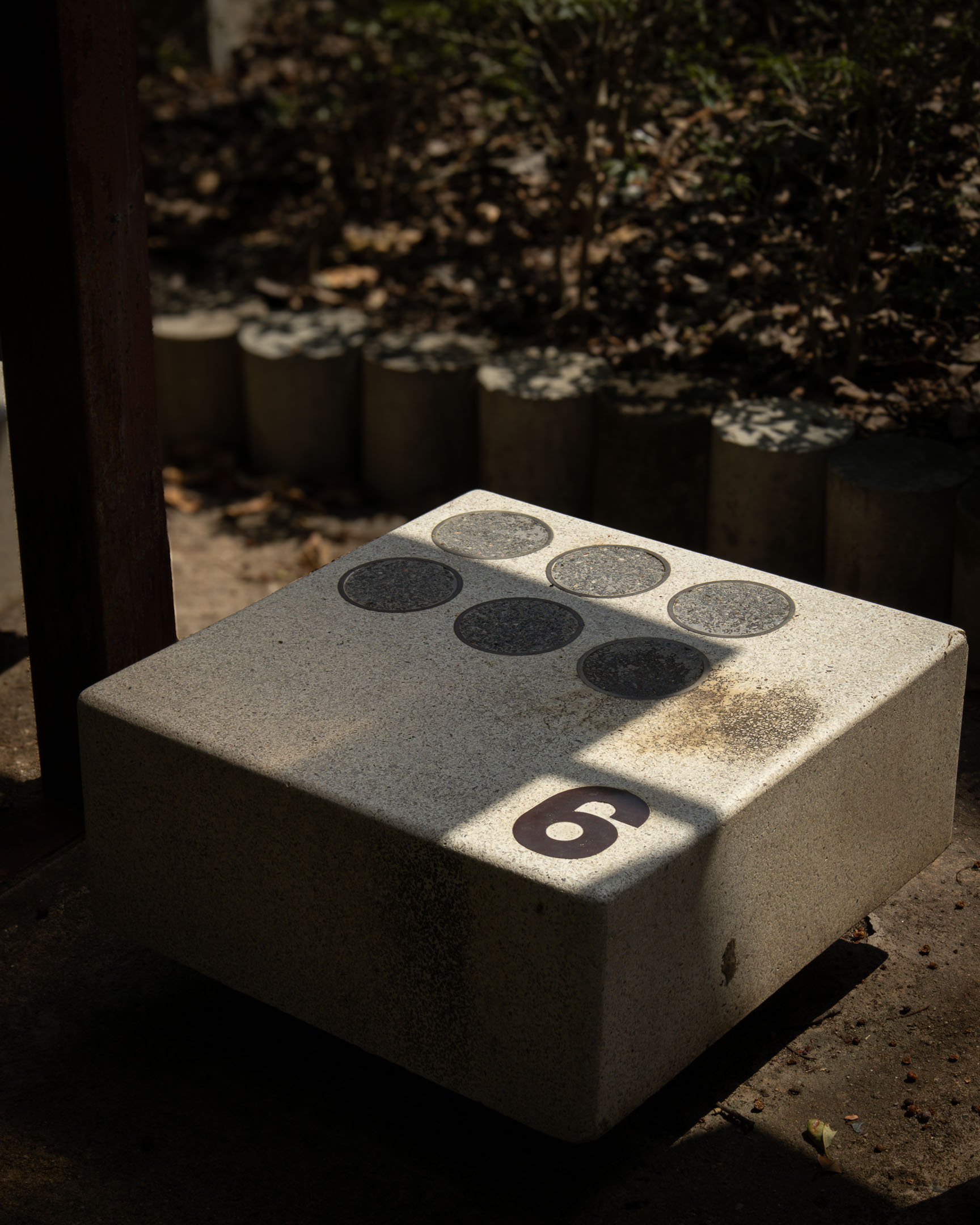 Seat No. 6