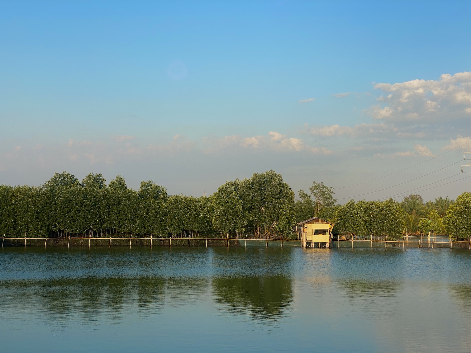 Binmaley fishpond 1