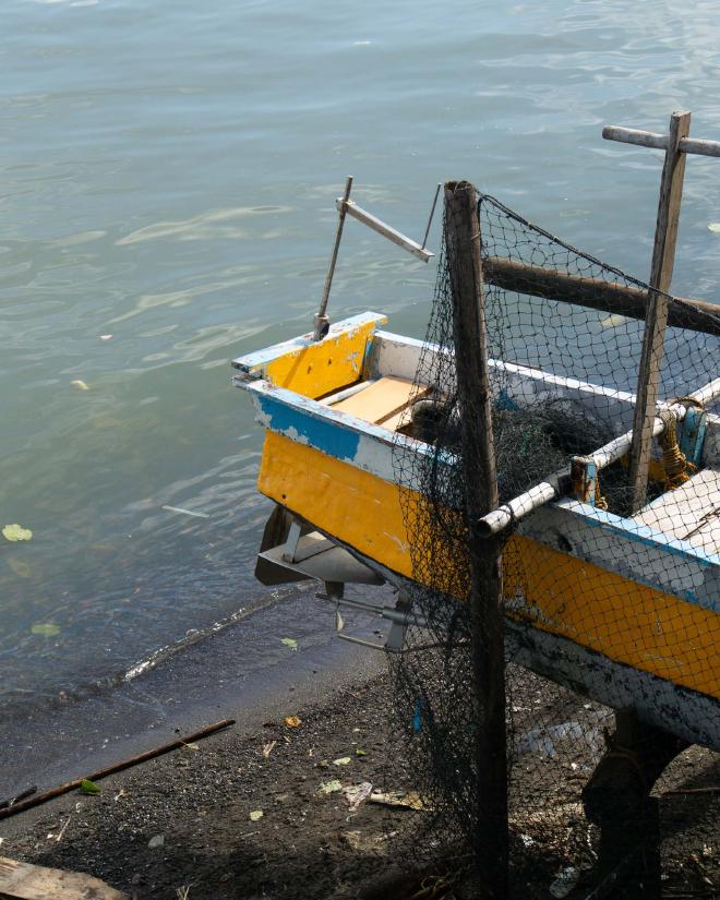 Net and boat