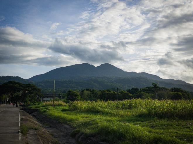 Mt. Makiling at Pili Drive