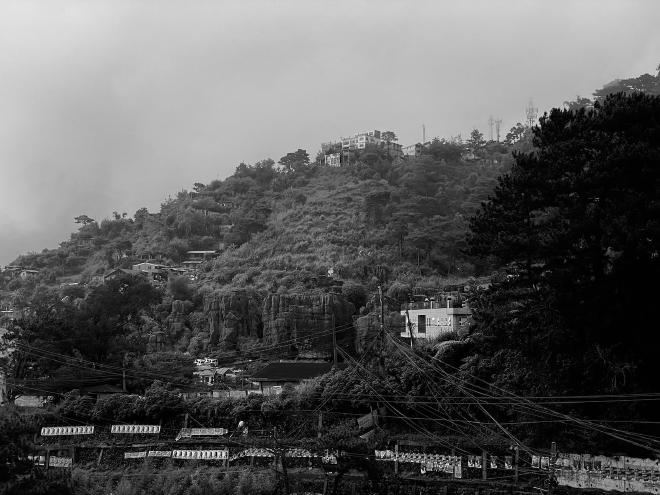 A house atop a hill filled with trees